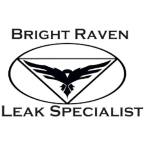 Brightraven Leak Specialist website logo.